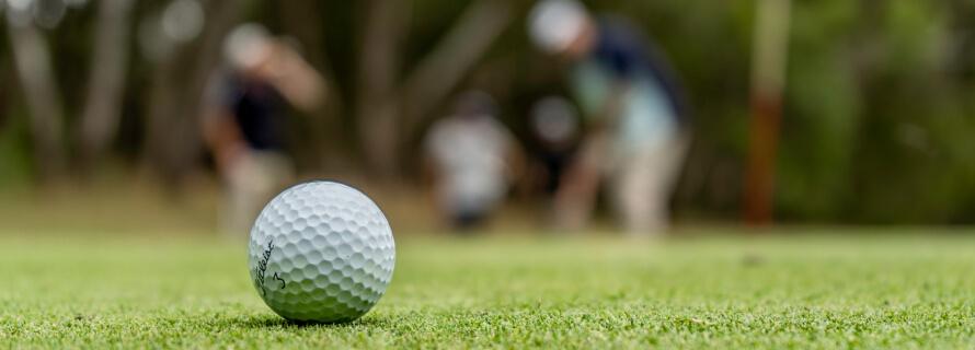 2 Day Golf Development School